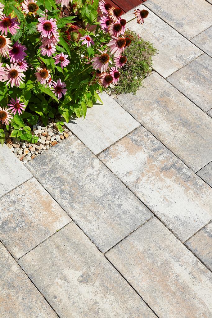 BEST-BELISIMA/8CM ANTICO UV COLORMIX ARABICA