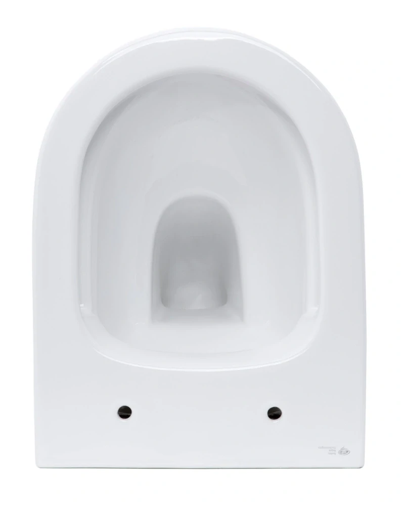 Wc s prkénkem softclose závěsné SAT Infinitio zadní odpad SATINF010RREXP