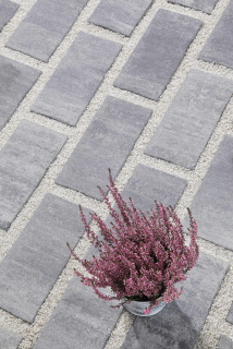 BEST-AKVABELIS/8CM COLORMIX BRILANT