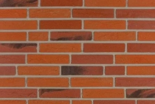 Meldorfer - Mecklenburg