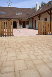 BEST-ARCHIA/8CM KARAMELOVÁ