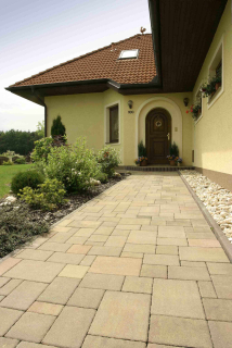 BEST-ARCHIA/8CM COLORMIX P