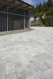 BEST-ARCHIA/8CM COLORMIX BRILANT