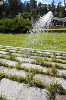 BEST-AKVABELIS/8CM COLORMIX ARABICA