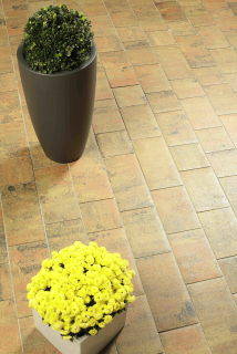 BEST-BELISIMA/8CM SAMETOVÝ UV COLORMIX ETNA