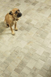 BEST-BELISIMA/8CM SAMETOVÝ UV COLORMIX ARABICA