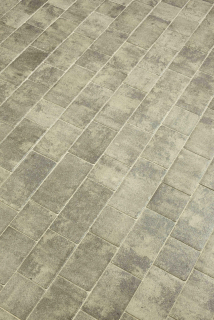 BEST-BELISIMA /8CM   COLORMIX BRILANT