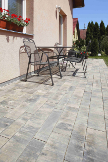 BEST-OLYMPIA/8CM COLORMIX ARABICA