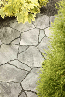 BEST-SOLITERA/8CM COLORMIX BRILANT