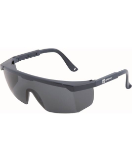 Brýle ARDON® V2111 kouřové