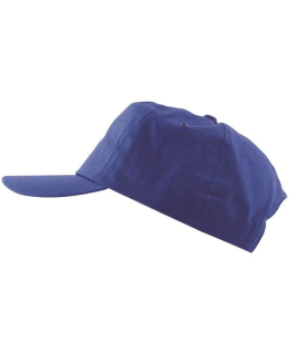 Čepice kšilt ARDON®LION modrá Modrá